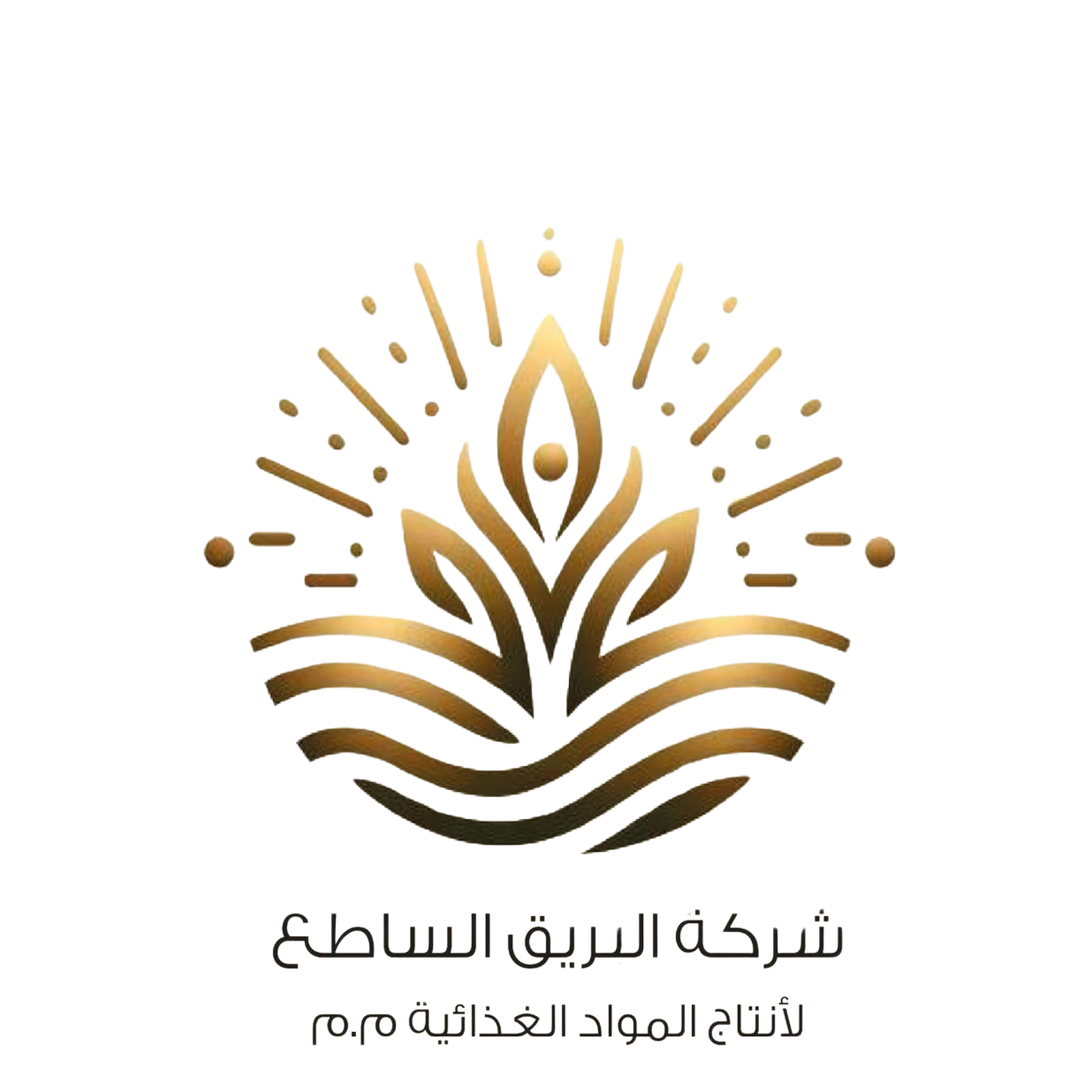 logo tr